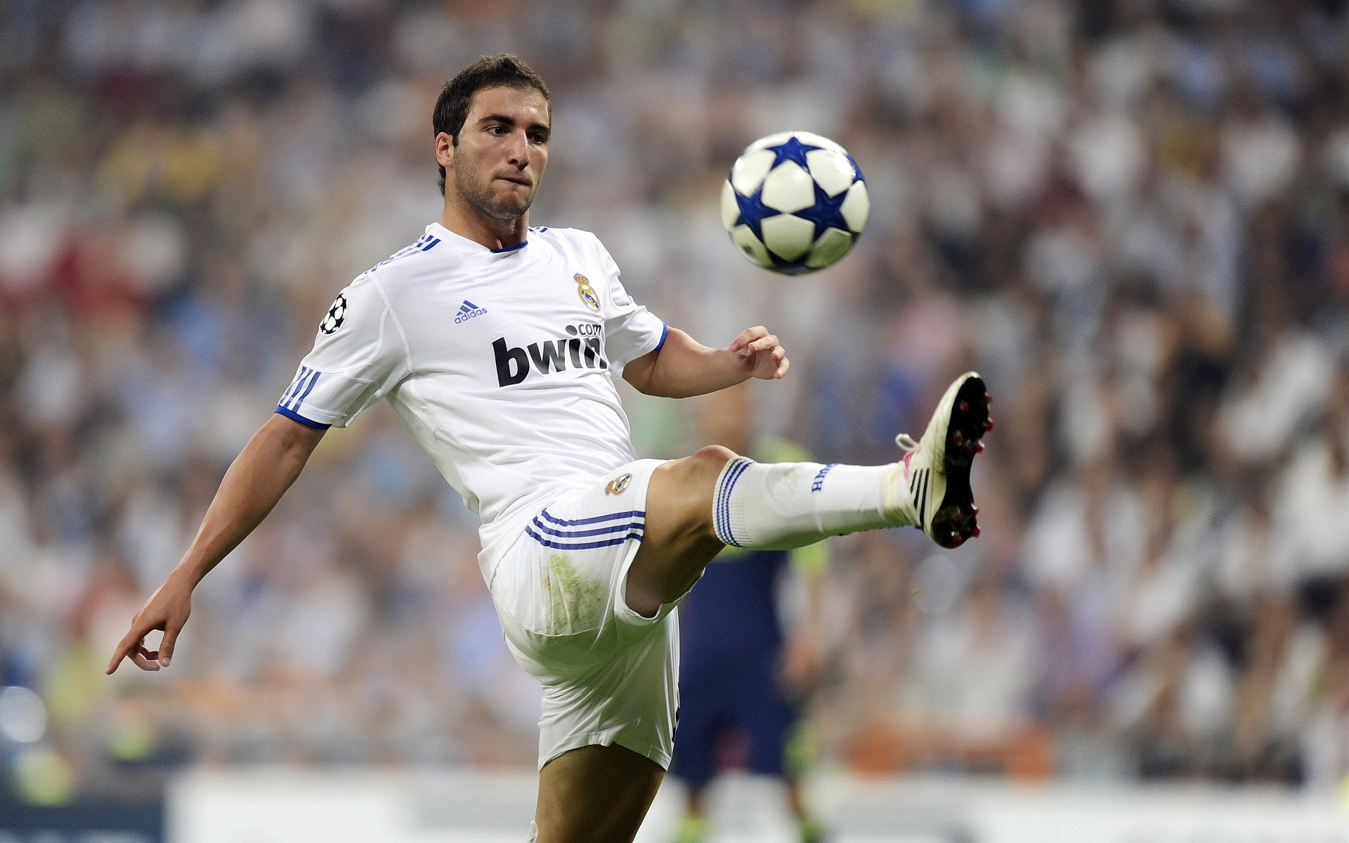 纳达尔法网夺冠 成就第14座大满贯传奇